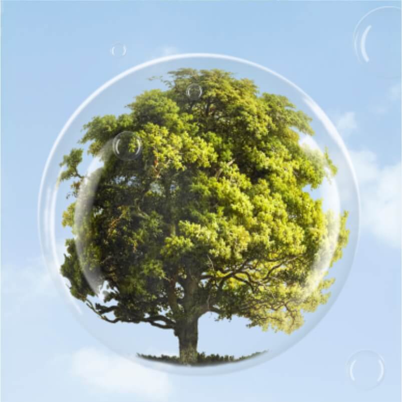 Pacegate Website Image Homepage Sustainability BannerI